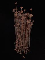 Kissi Pennies - Poro Societies, West Africa